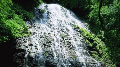 独特信息化高端